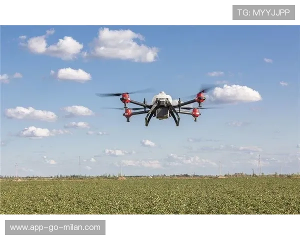 谢什科缺阵可能影响国家队未来人选 谢什科缺阵可能影响国家队未来人选