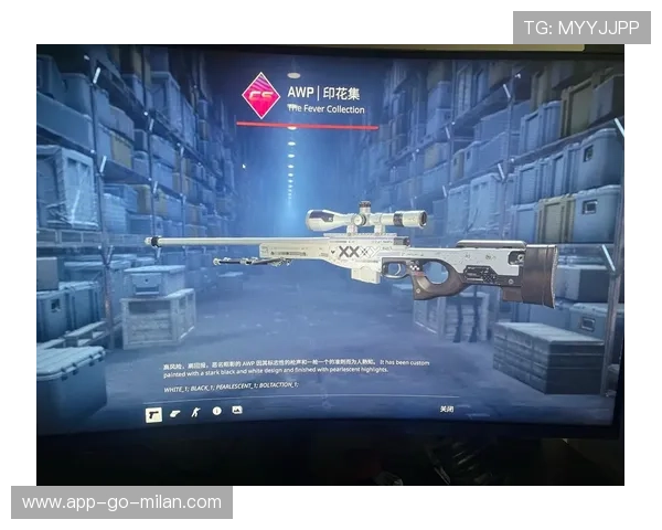 CS2皮肤防骗终极手册：保护好你的令牌，拒绝任何可疑交易⚠️